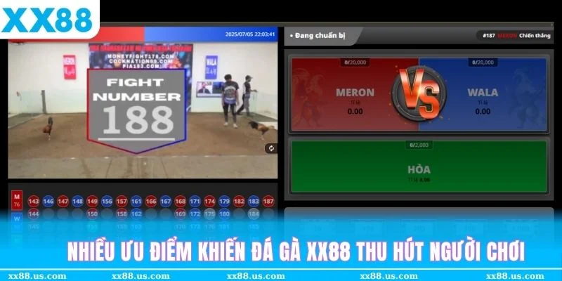 Hàng tá ưu điểm khiến đá gà XX88 luôn được thành viên lựa chọn